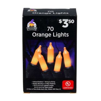 Halloween Colored Mini Lights - 70 ct
