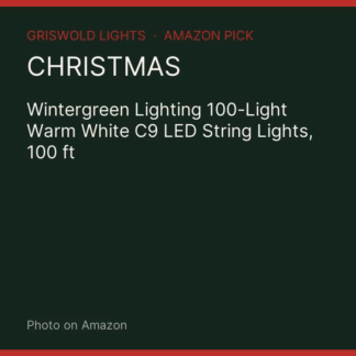 Wintergreen Lighting 100-Light Warm White C9 LED String Lights, 100 ft